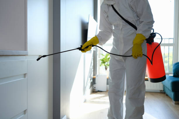 Best Mold Remediation Experts  in Jackson, OH