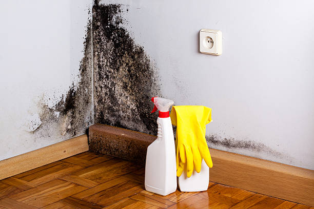 Water Damage Restoration in Jackson, OH